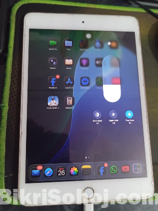 Ipad mini 5